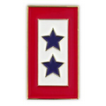 Blue Stars Service Flag Pin